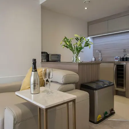 Daire Chocolets - The Lion *