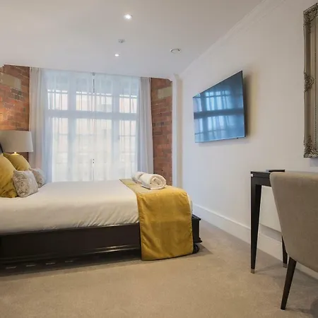 Daire Chocolets - The Lion