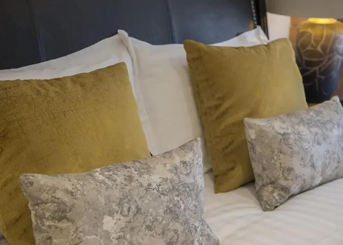 Chocolets - The Lion Han/Misafirhane *