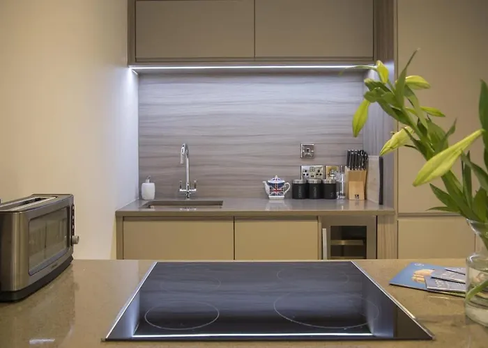 Chocolets - The Lion