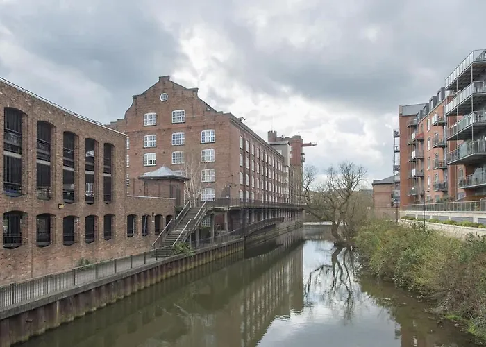 Han/Misafirhane Chocolets - The Lion *