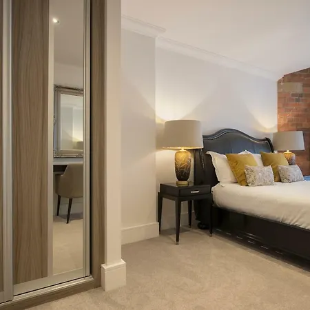 Chocolets - The Lion